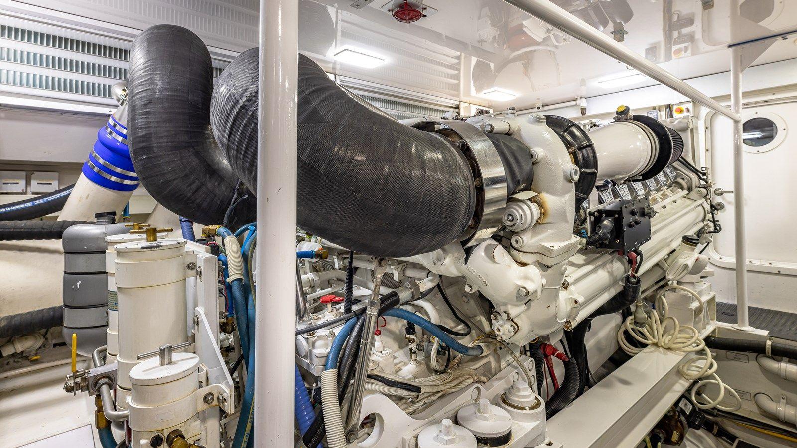 FIRST BITE - VIKING price