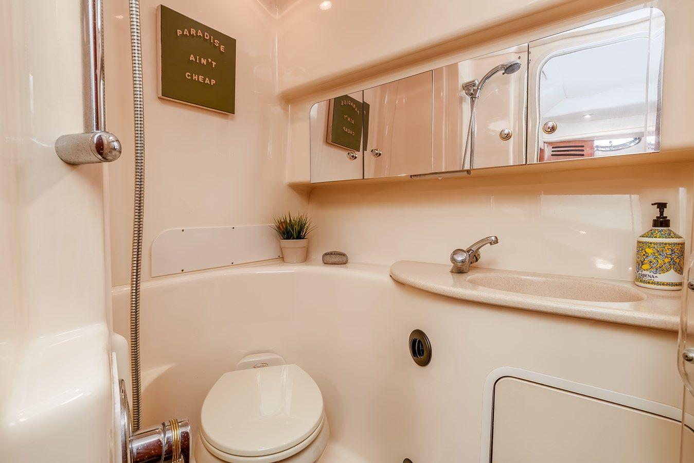 Купить Pair-a-Dice - SEA RAY