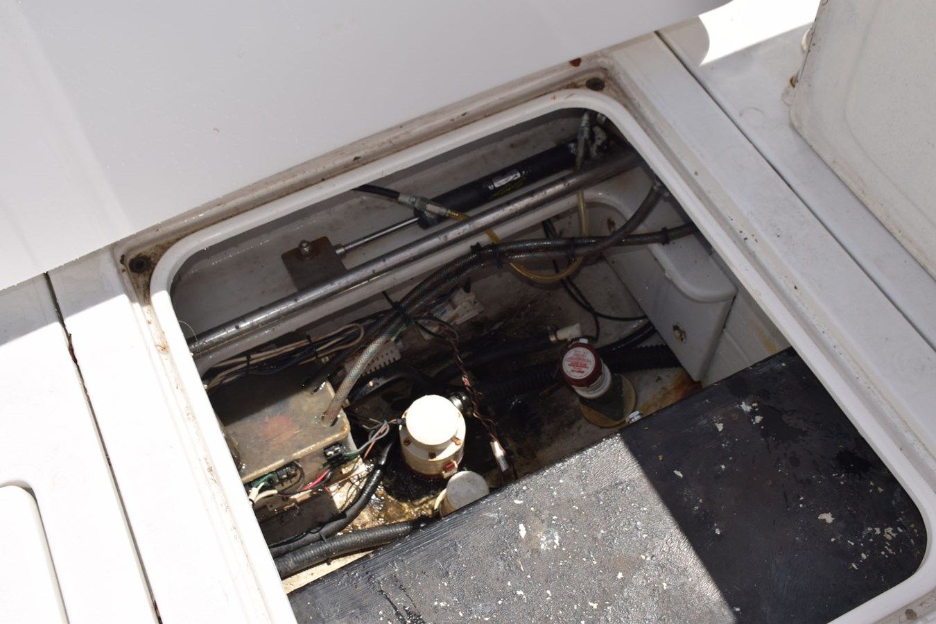 RAMPAGE - Bertram Yacht