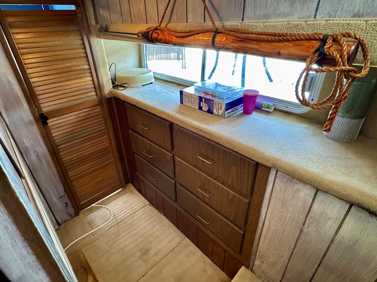 Dragonfly Chaser 14 x 50 Standard price