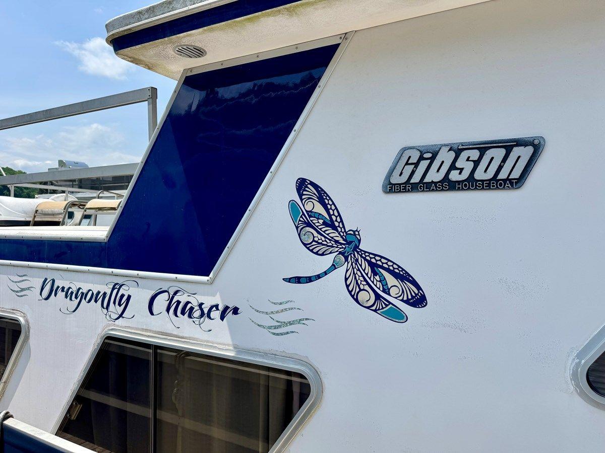 Dragonfly Chaser - GIBSON price