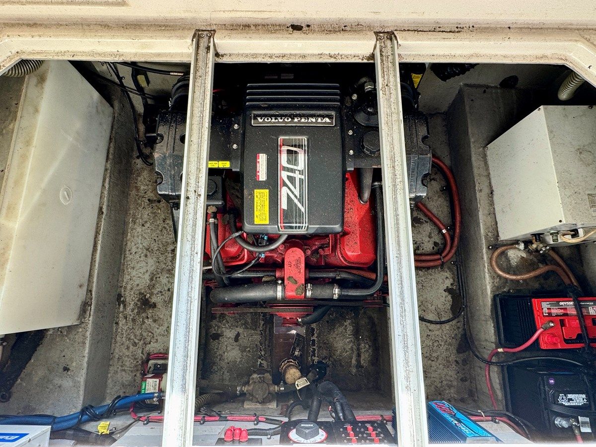 Купить Southern Cross