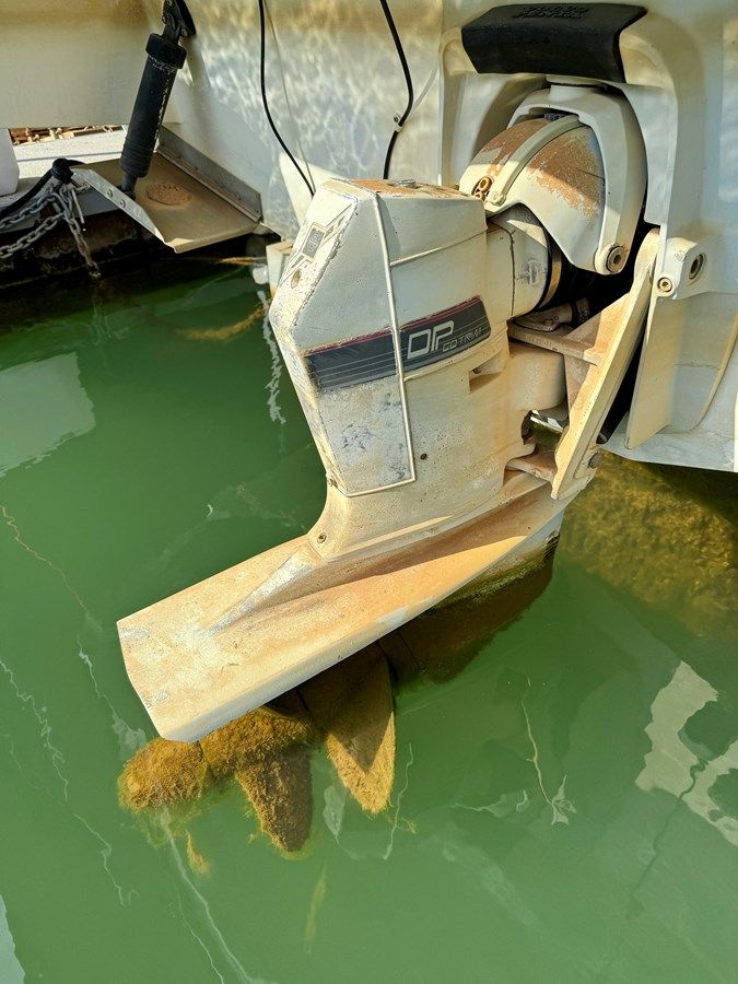 Купить Southern Cross - Chaparral