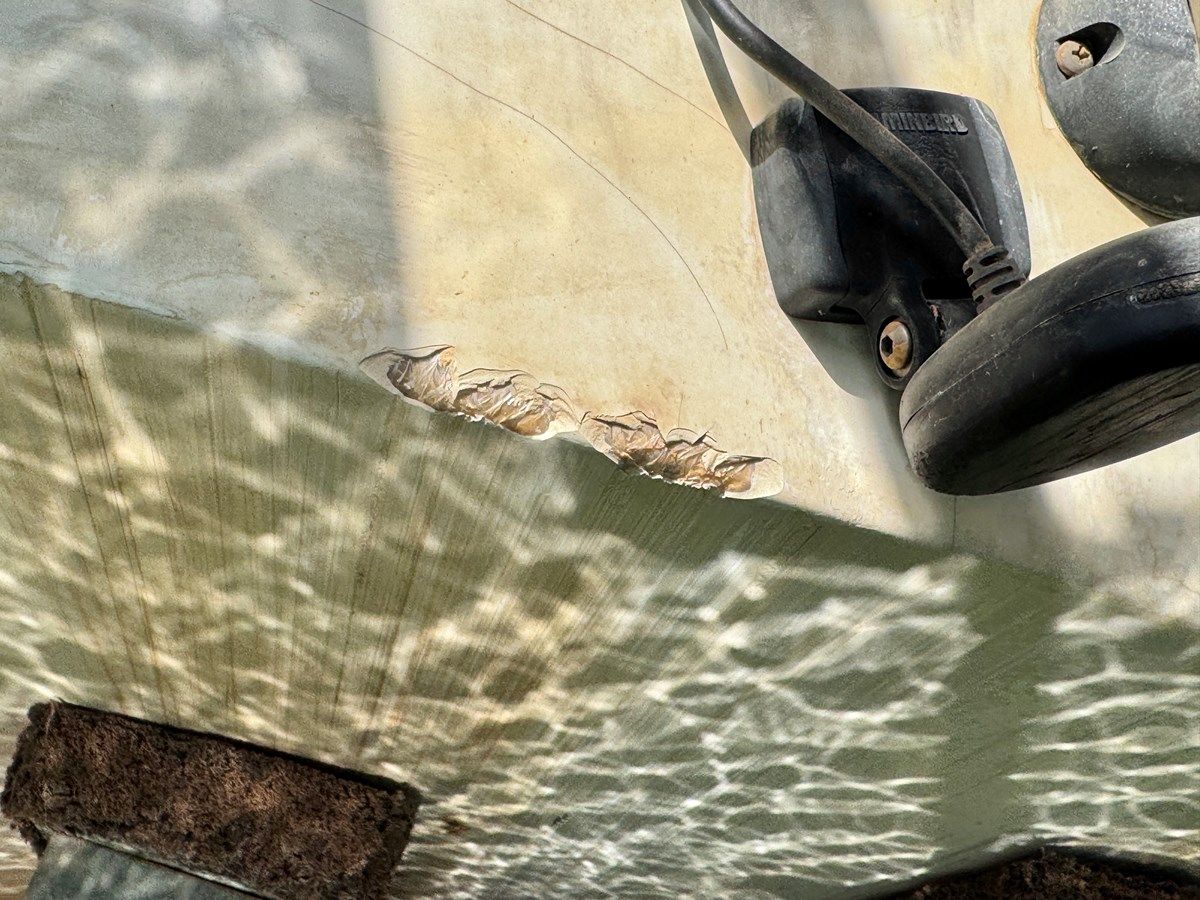 Лучшая цена на Southern Cross - Chaparral