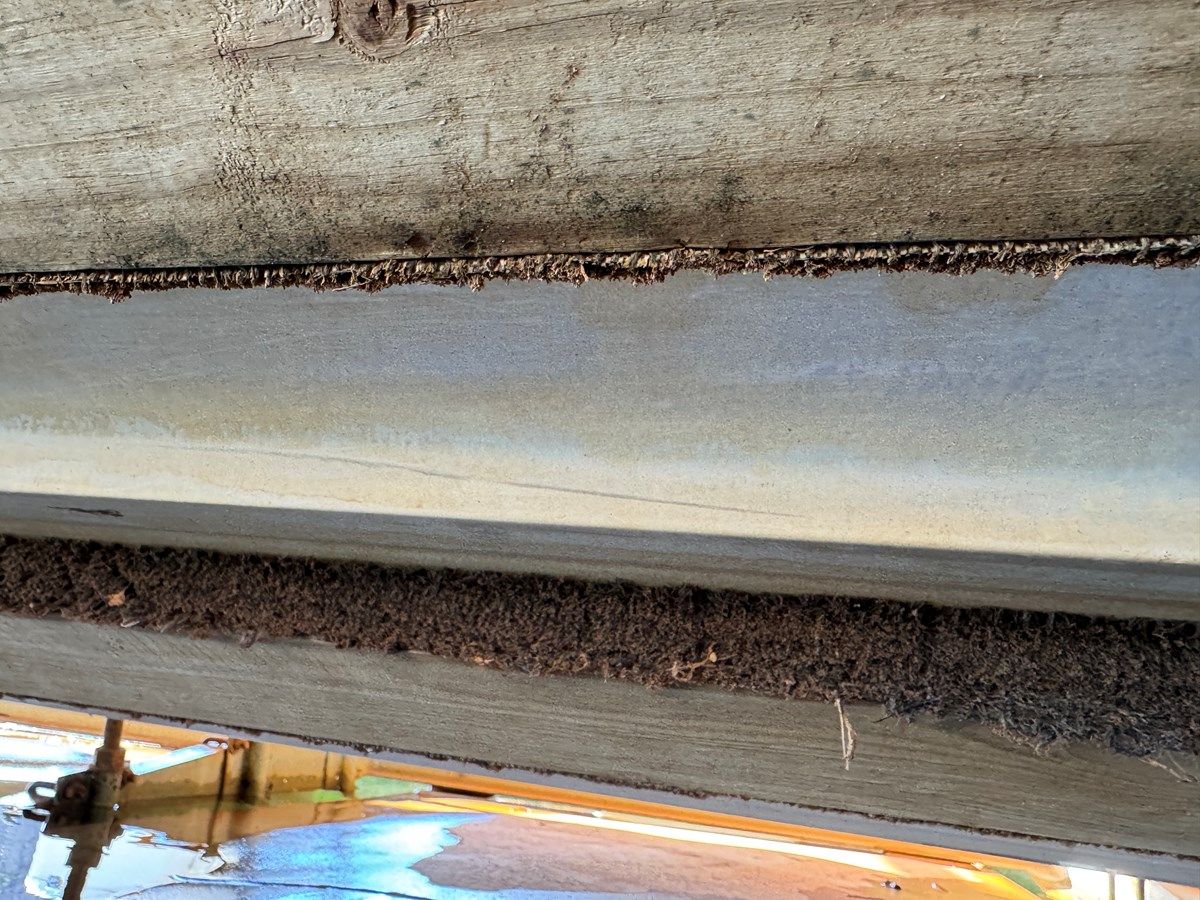 Купить яхту Southern Cross - Chaparral в Shestakov Yacht Sales