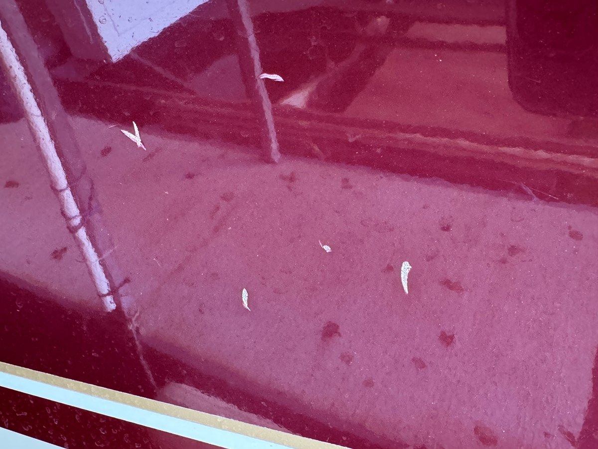 Southern Cross - Chaparral