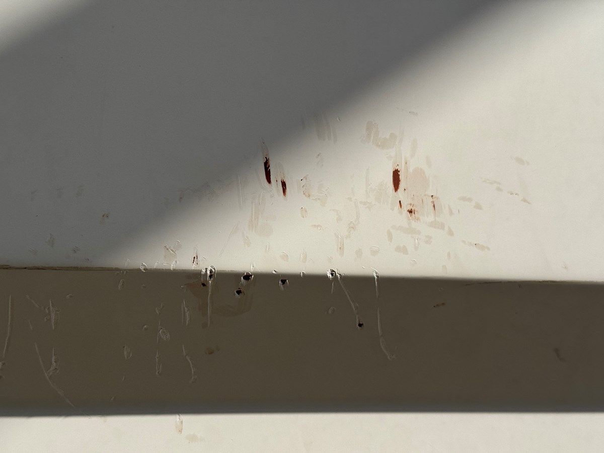 Лучшая цена на Southern Cross 28