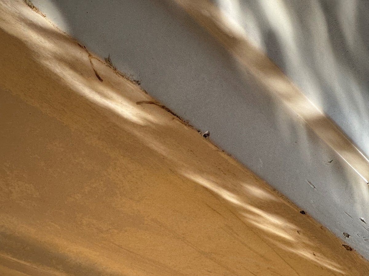 Лучшая цена на Southern Cross