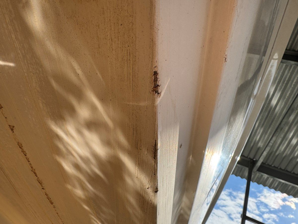 Лучшая цена на Southern Cross