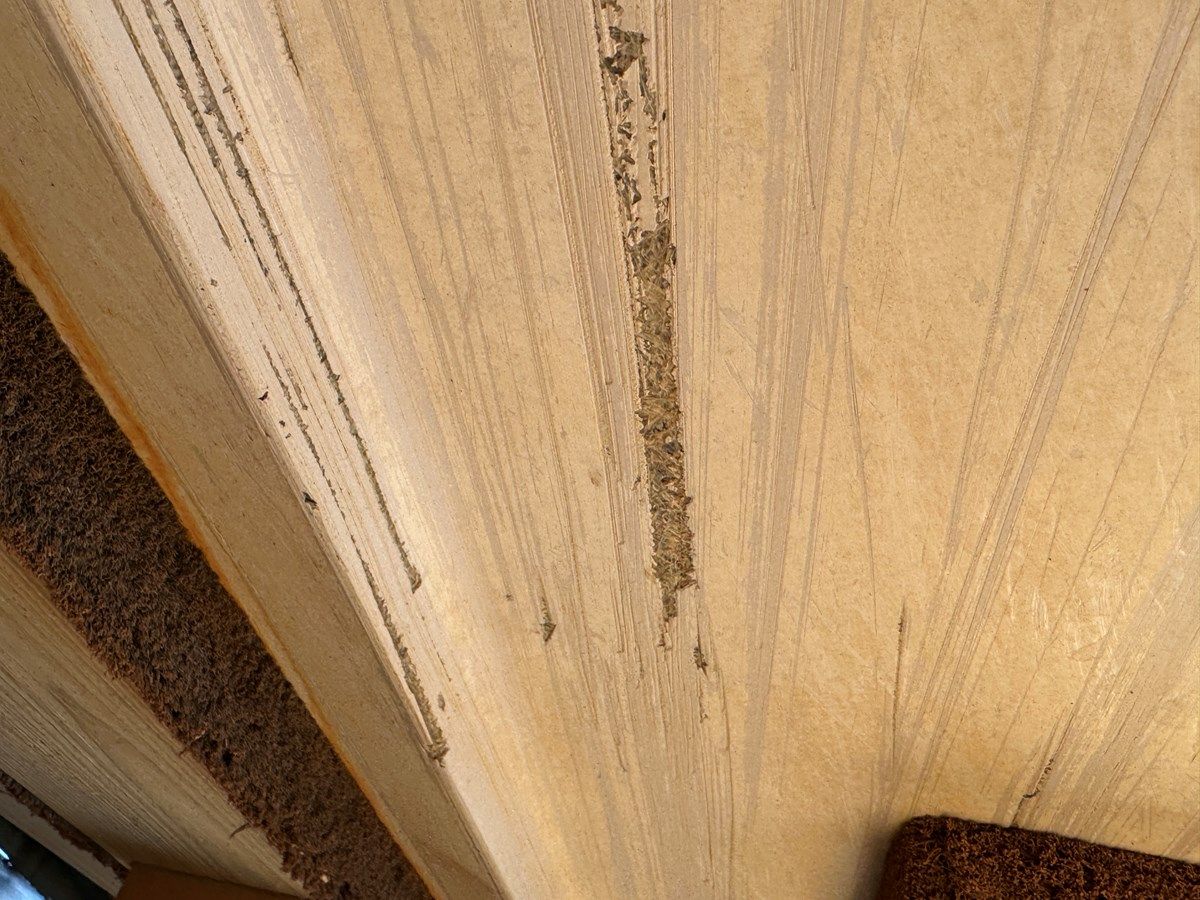 Купить яхту Southern Cross в Shestakov Yacht Sales