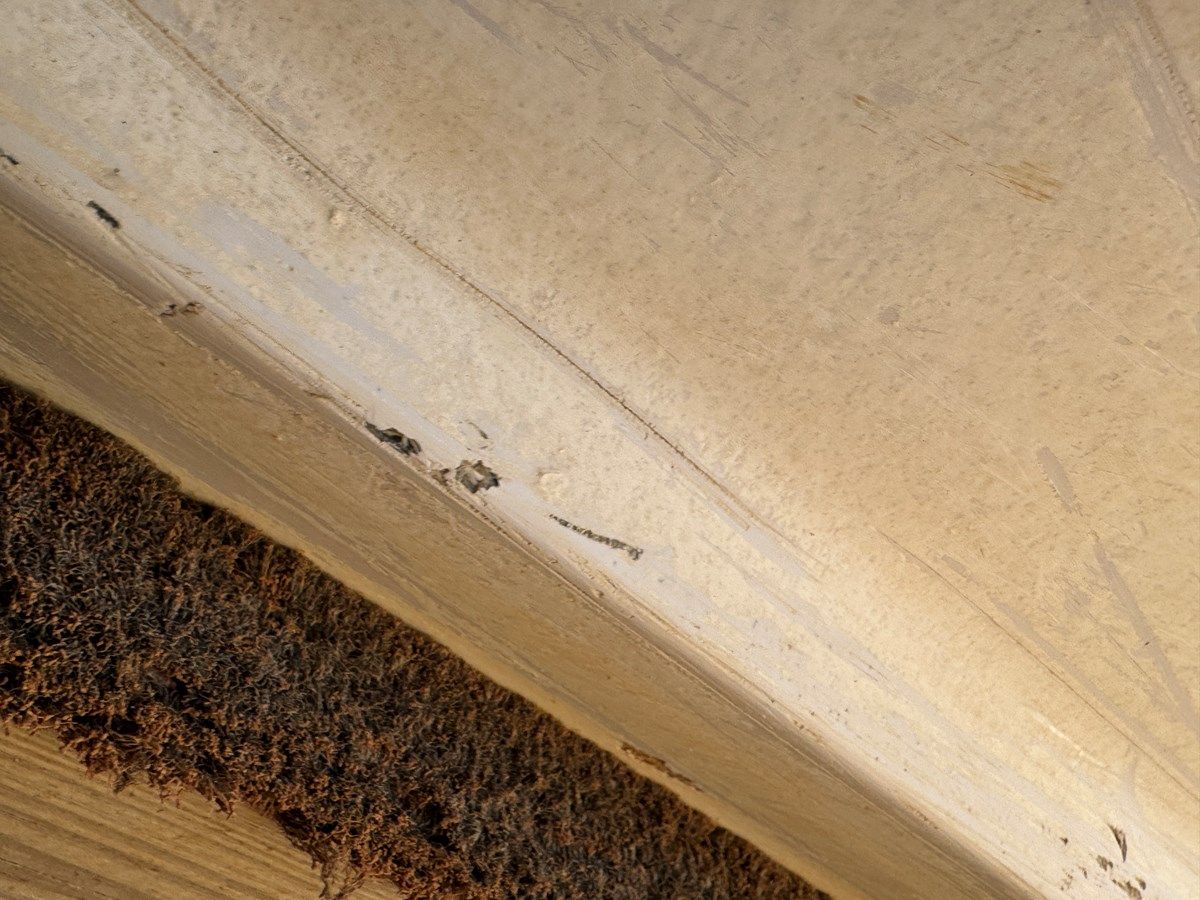 Лучшая цена на Southern Cross