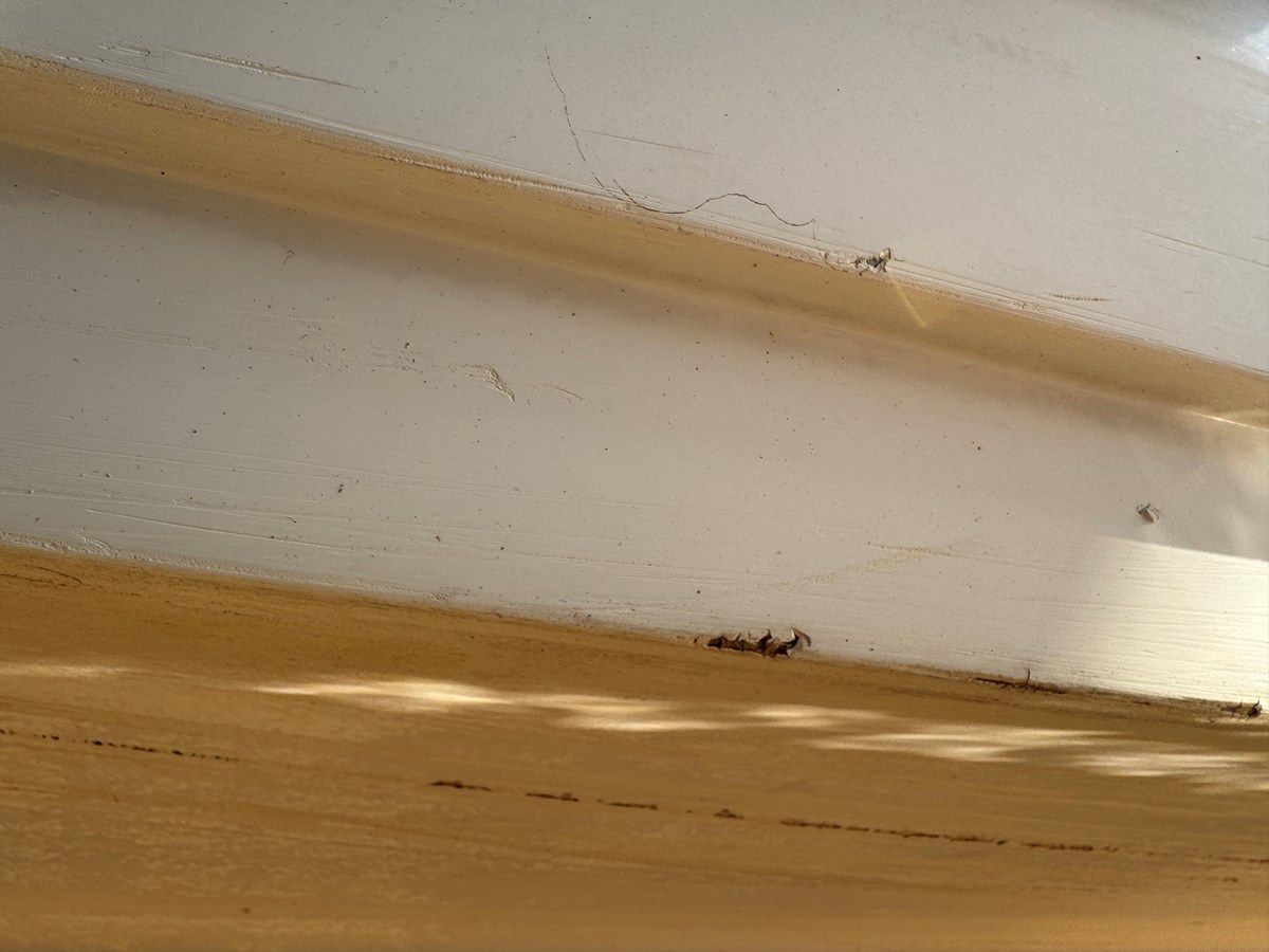 Купить Southern Cross 1994