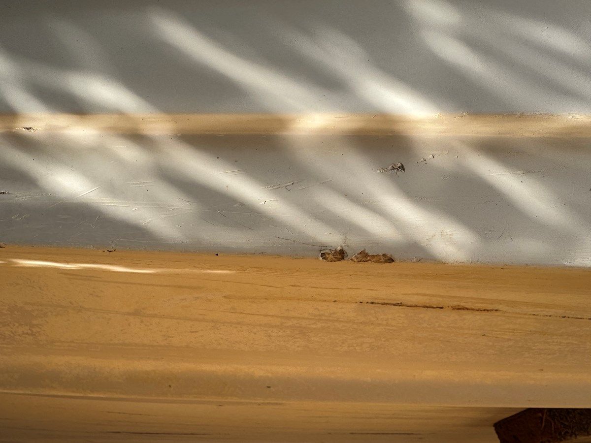 Лучшие предложения покупки яхты Southern Cross 1994