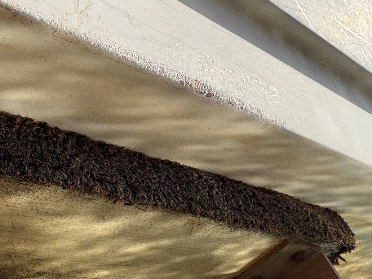 Southern Cross - Chaparral