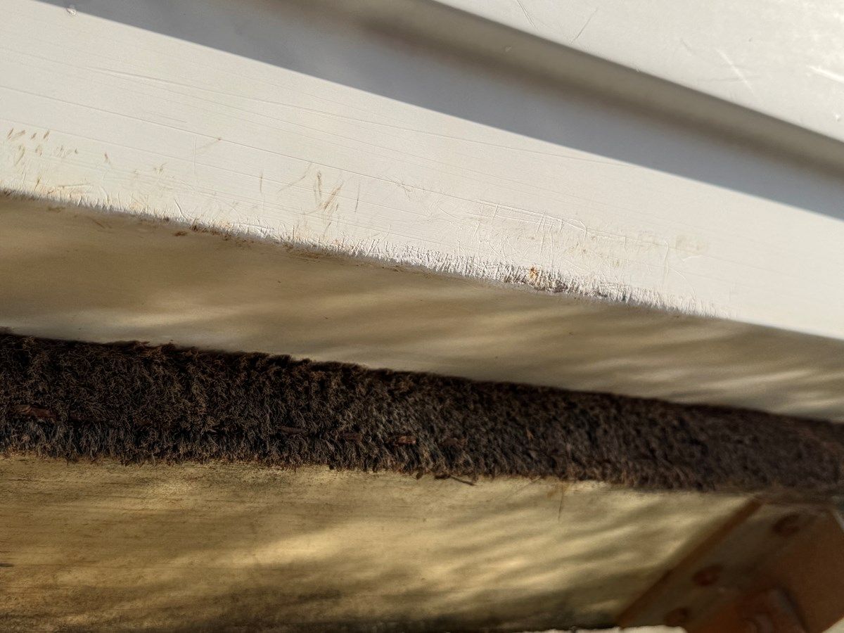 Купить Southern Cross 1994