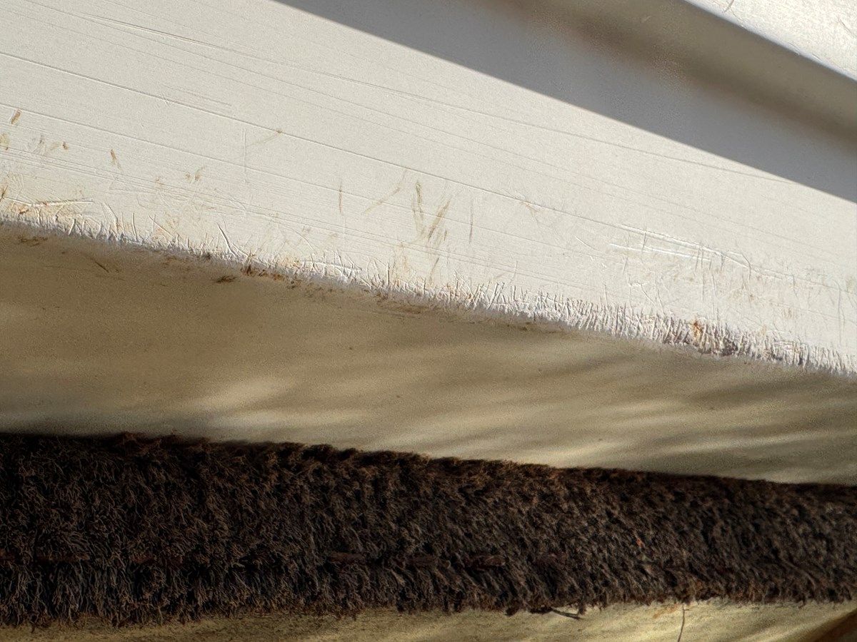 Купить яхту Southern Cross в Shestakov Yacht Sales