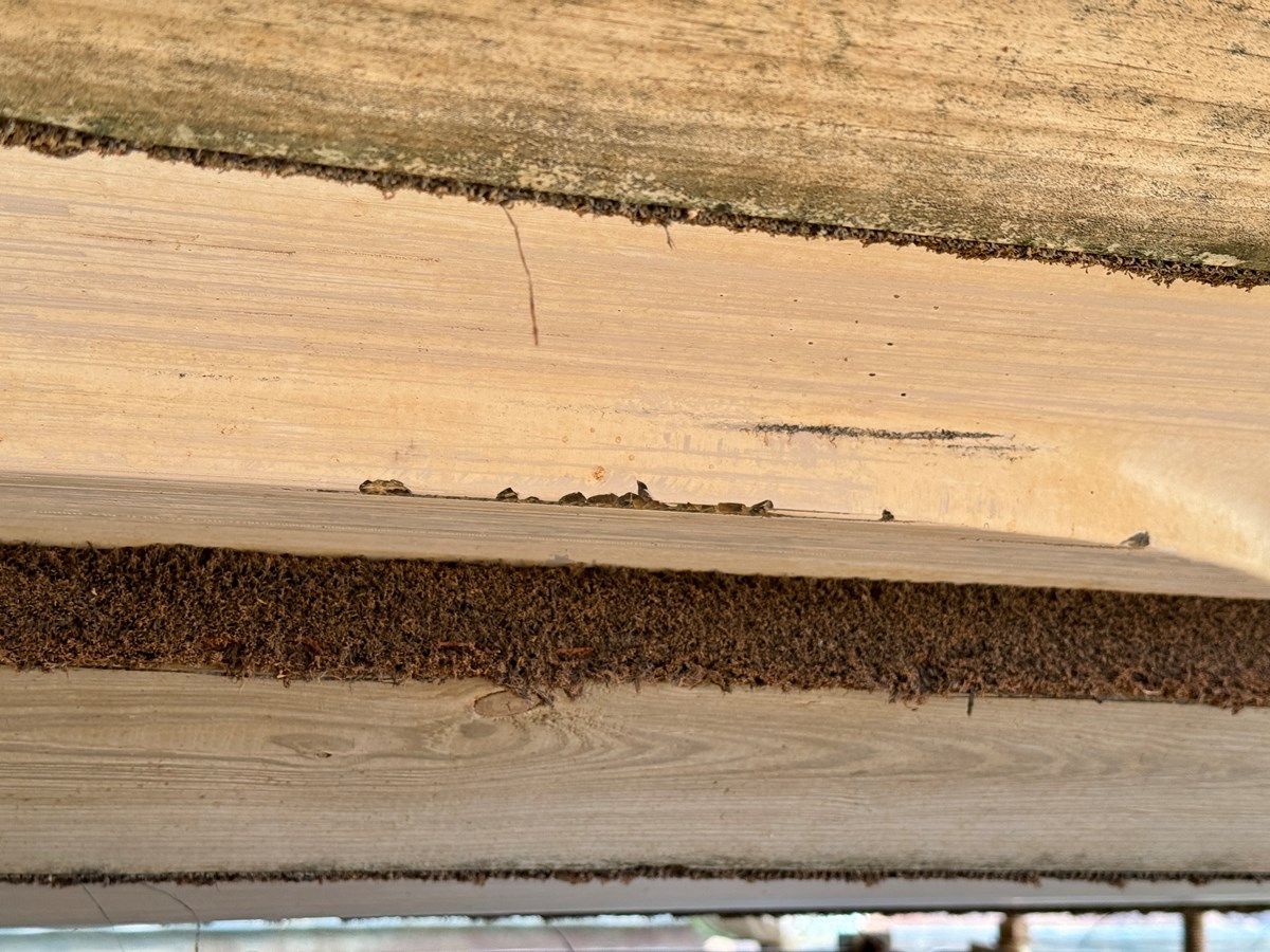 Купить Southern Cross 1994