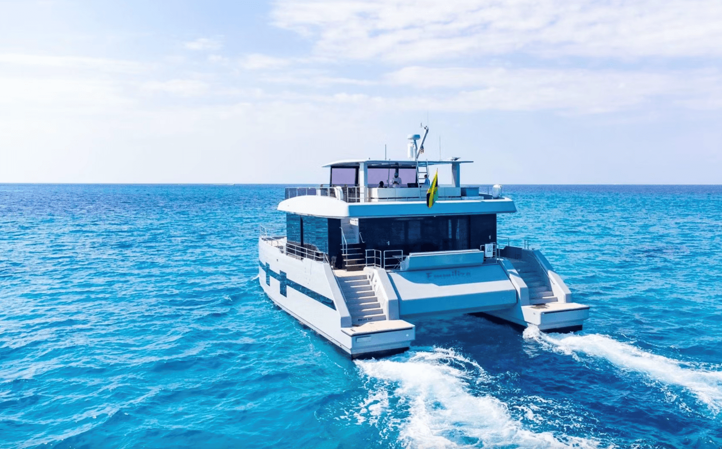 Купить Emmiliza 2021