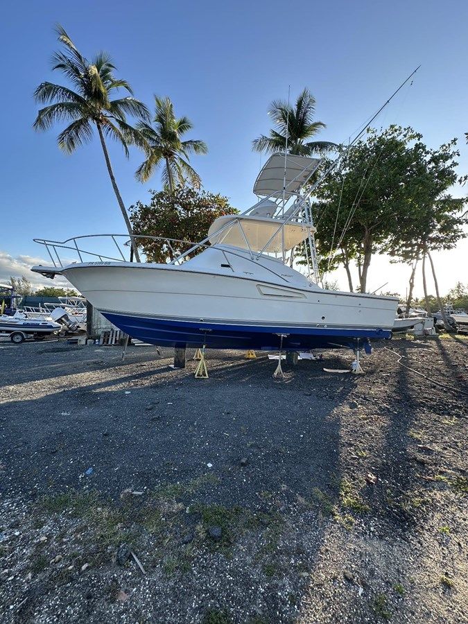 Купить яхту Primo 3000 Offshore Express в Shestakov Yacht Sales