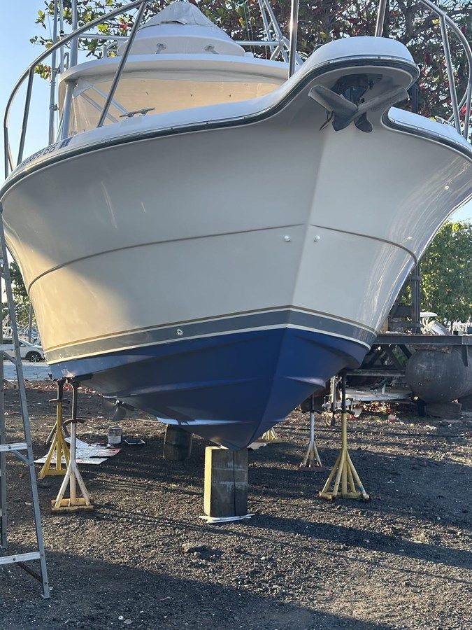 Primo - PURSUIT BOATS price