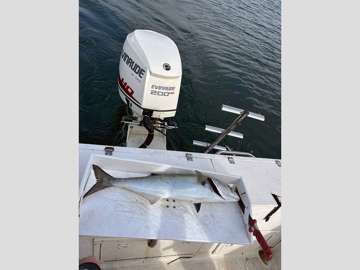 best yacht sales deals 23' Hydra-Sports 2000 Seahorse - HYDRA-SPORTS