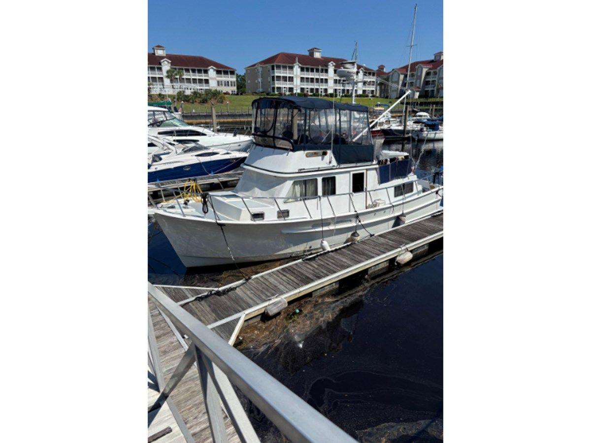 the best price on Funky Monkey