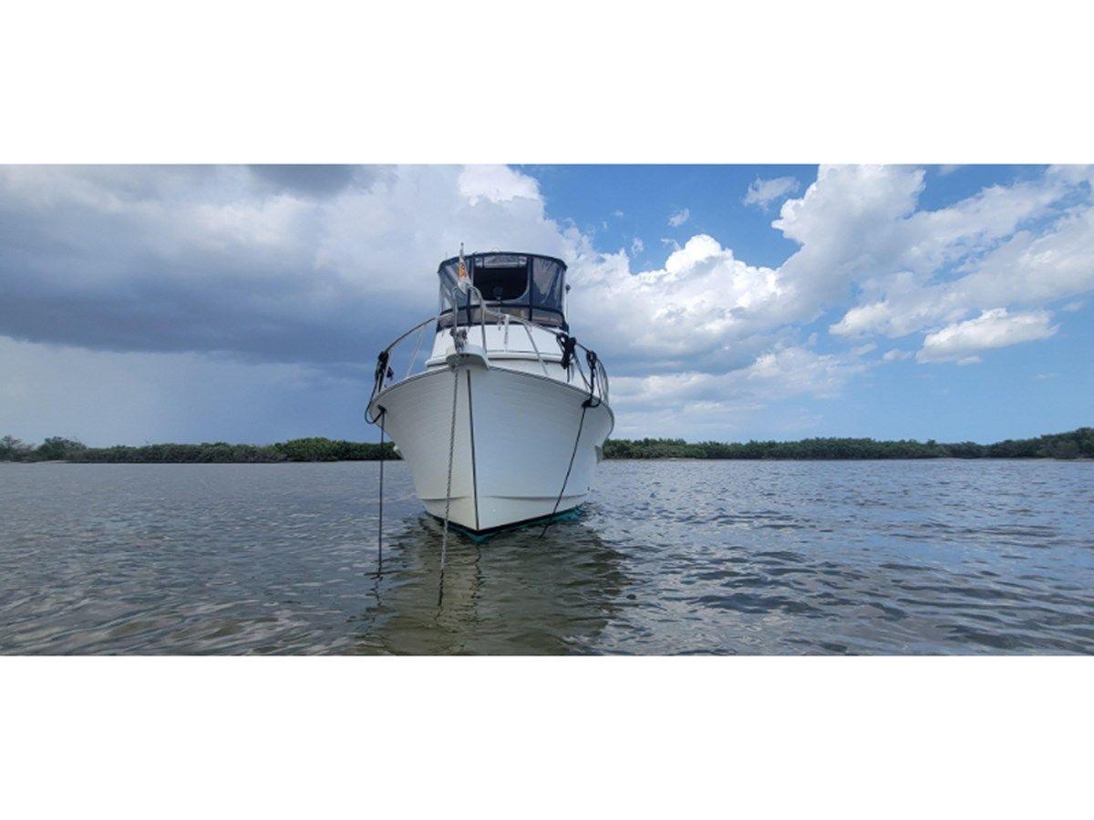 Buy a yacht Funky Monkey 2001