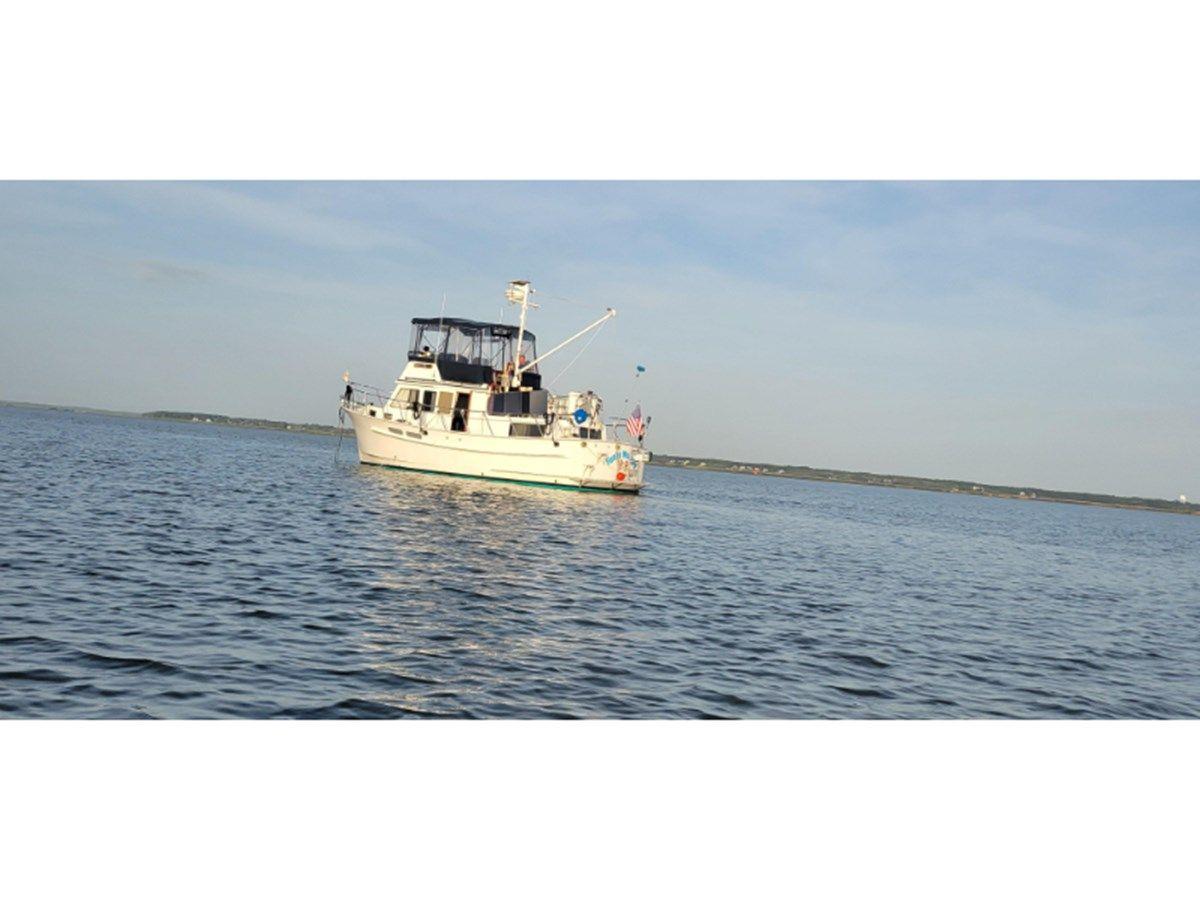 Funky Monkey - MONK price