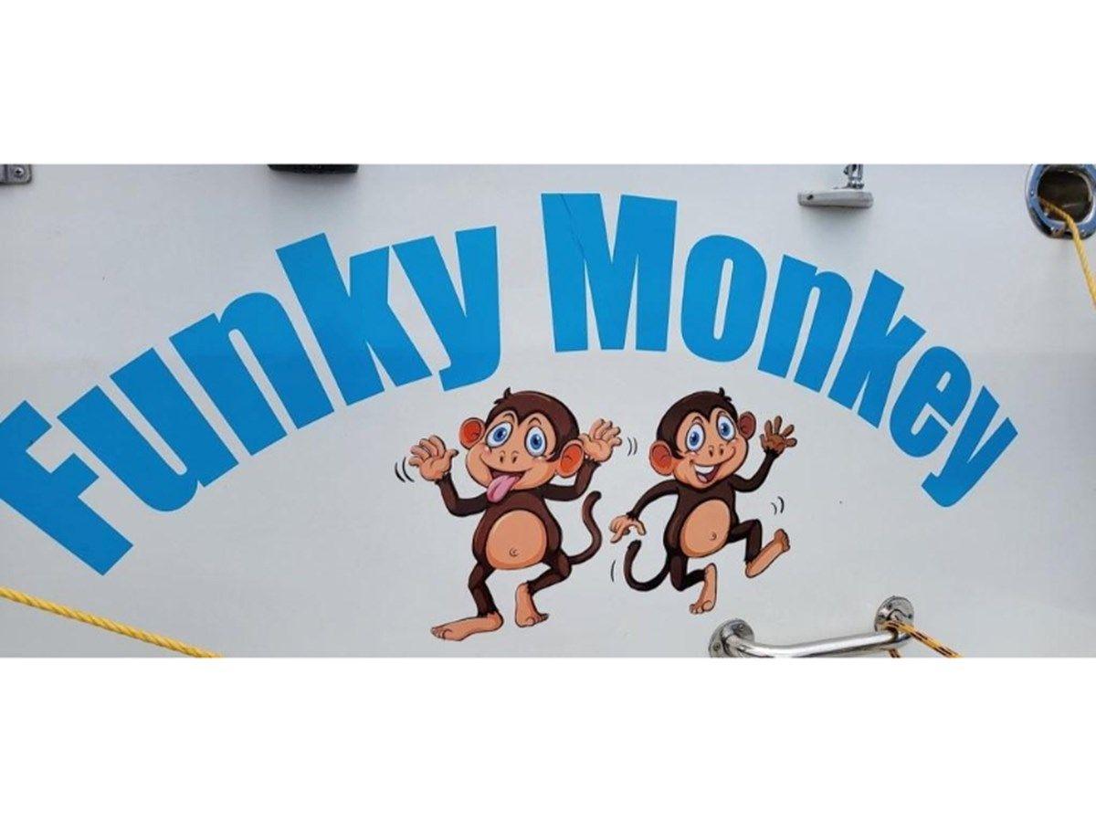 the best price on Funky Monkey