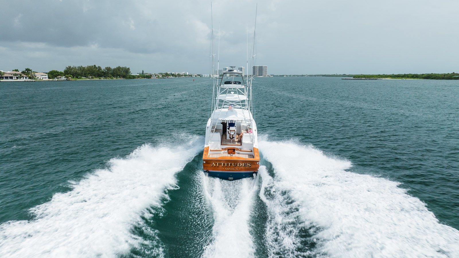 Купить ATTITUDES