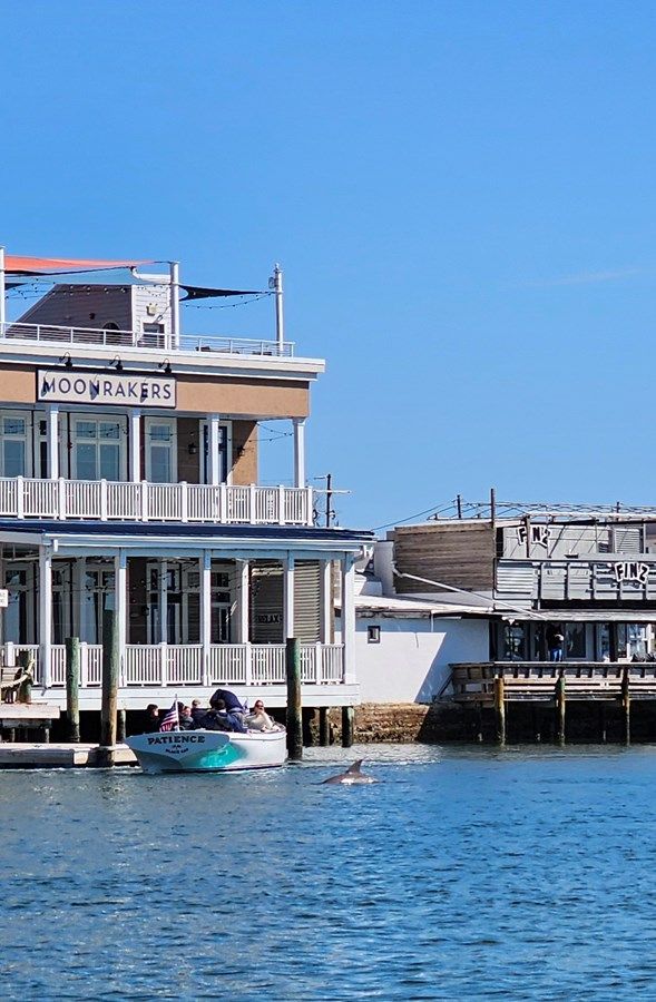 Лучшая цена на PATIENCE