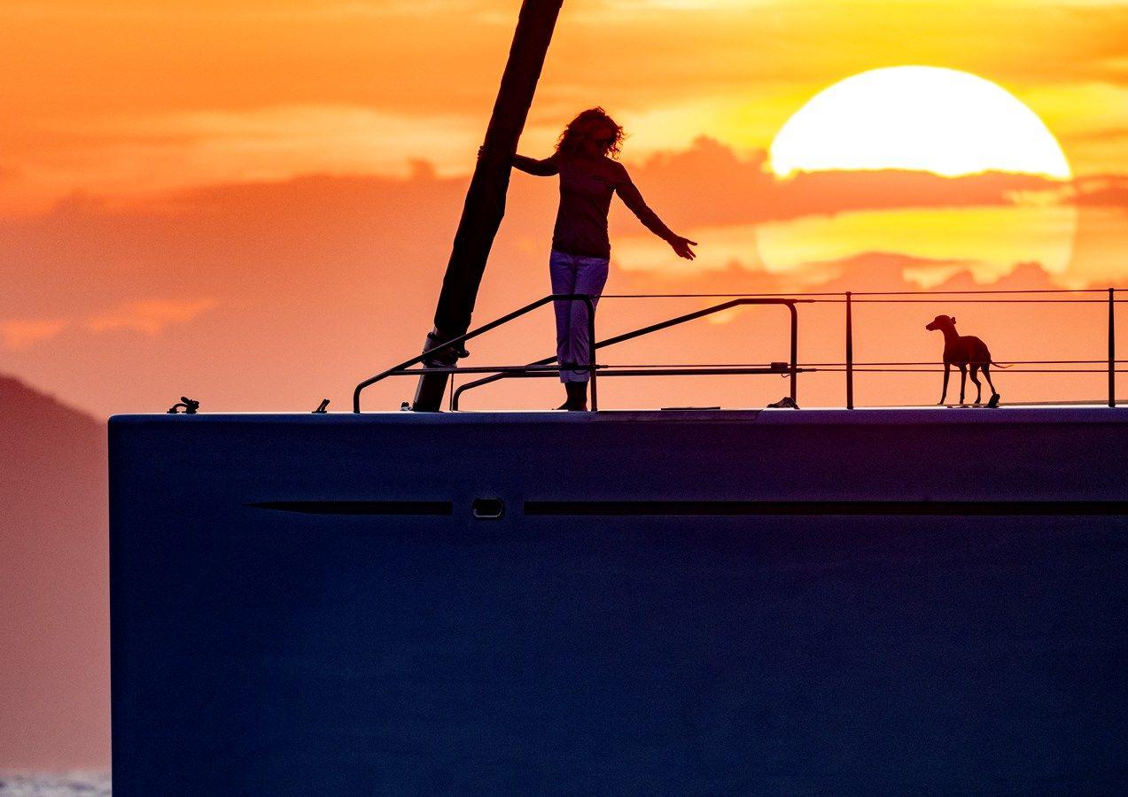 Купить Canova 142