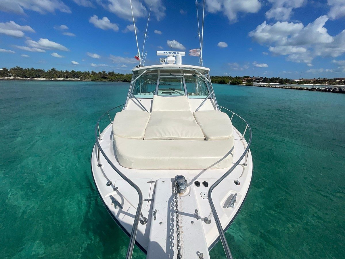 the best price on BONA VITA