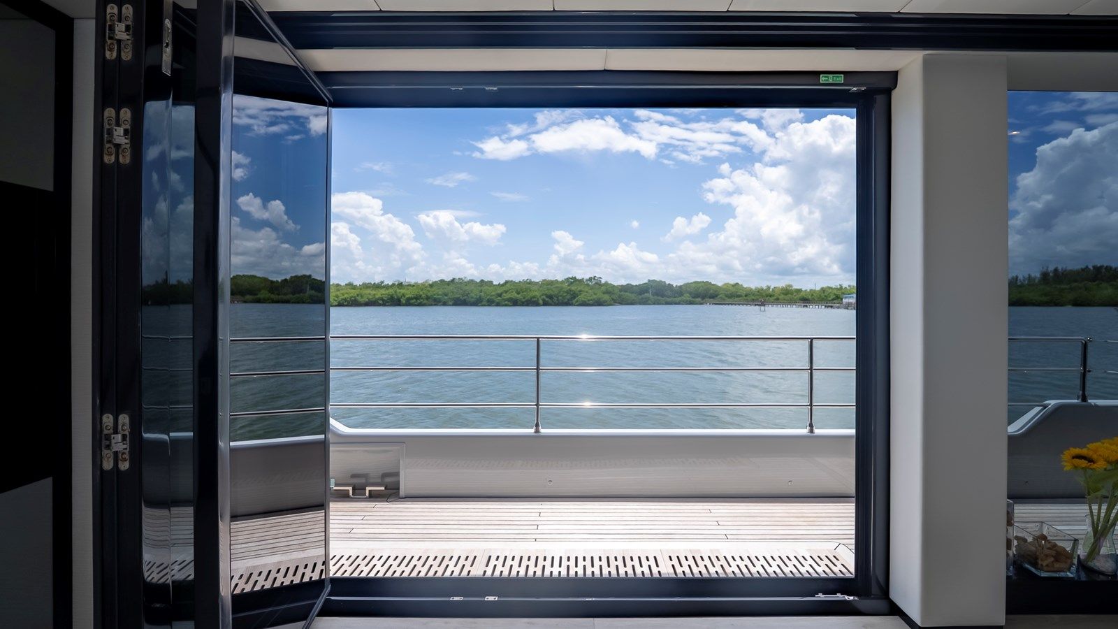 Купить Emmiliza - SUNREEF