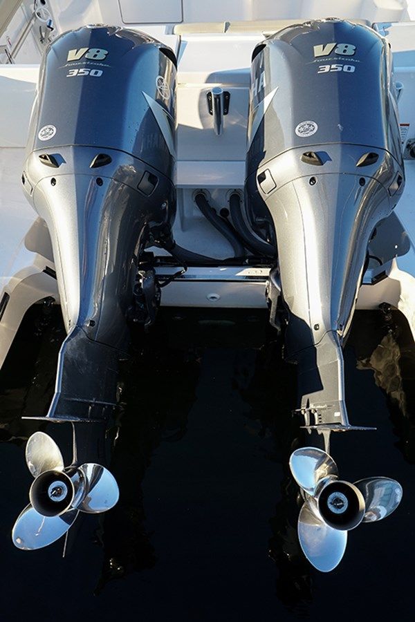 LADY ANN Name Reserved