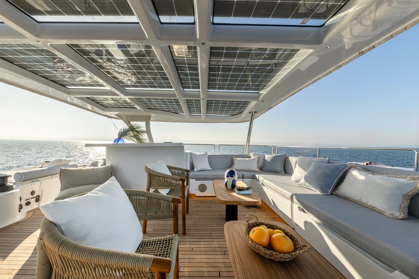 SPICE OF LIFE - SUNREEF price