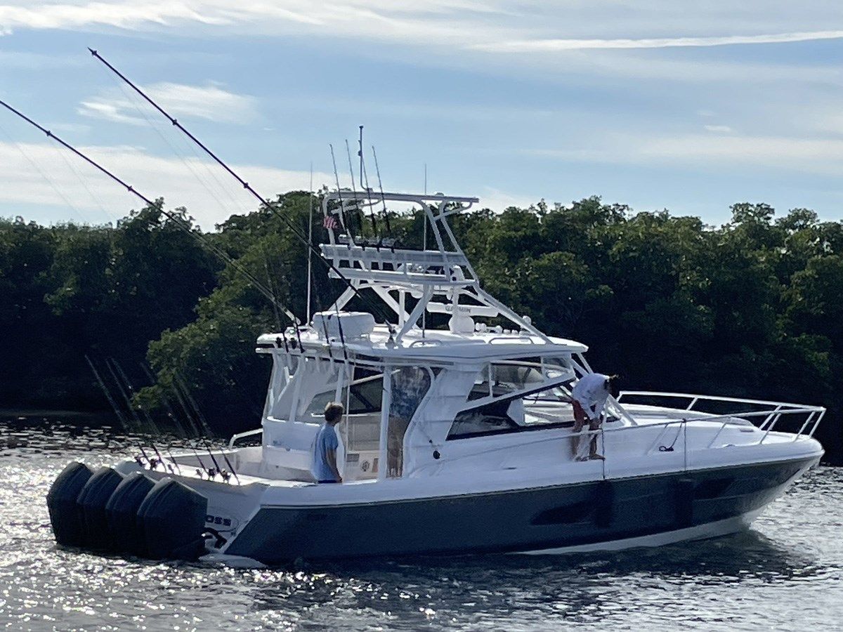 NET LOSS 477 Evolution price