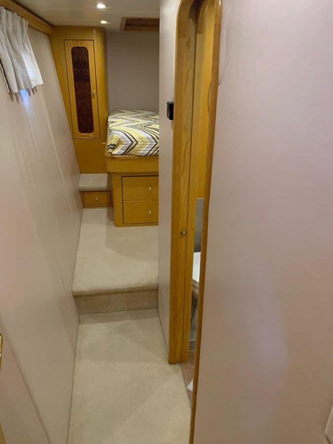 The Cat From the Hat