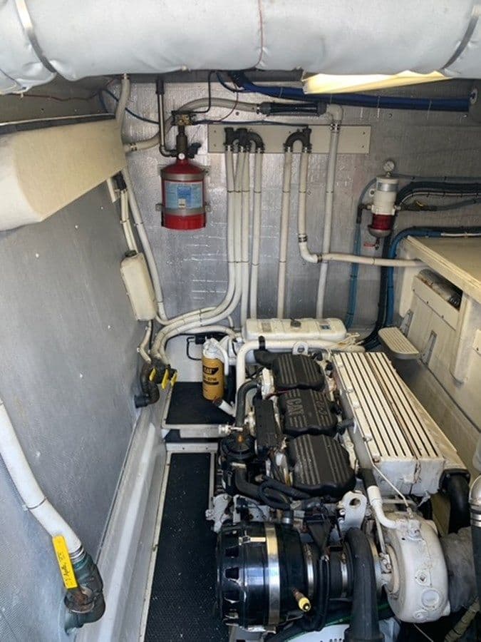 The Cat From the Hat 75 price