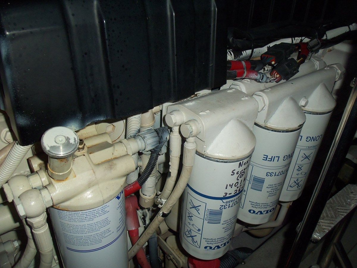 Купить YOUNG GIRL 50