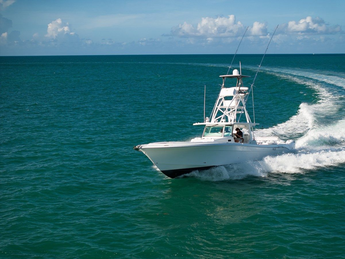 EXECUTIVE DECISION 53 Suenos price