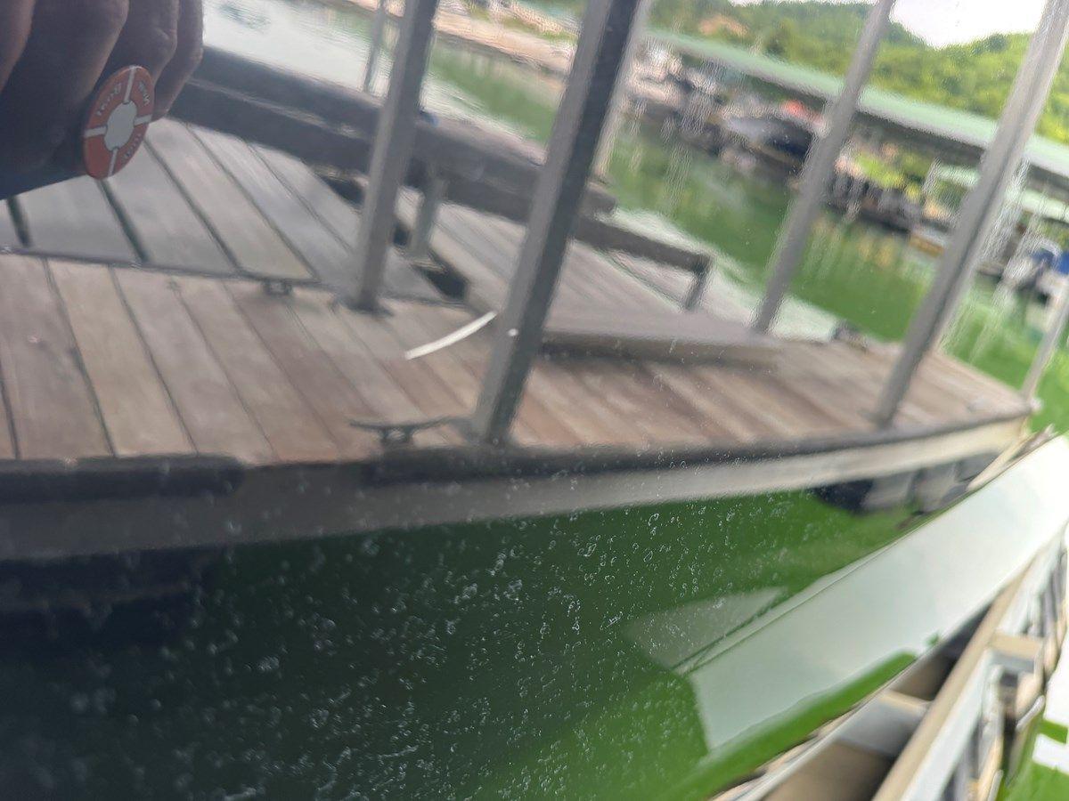 024 Yamaha 252SD NLNL 24 yacht sale