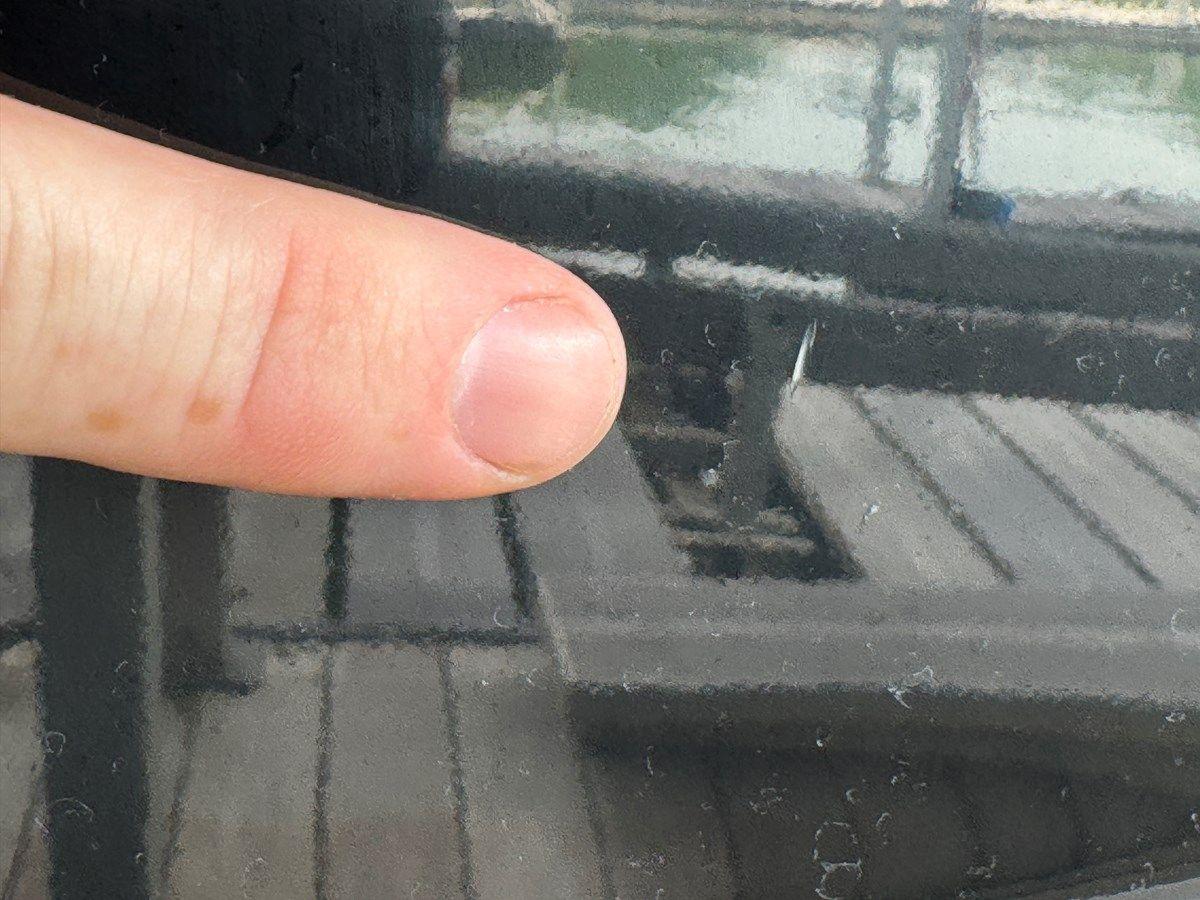 Buy a 024 Yamaha 252SD NLNL - YAMAHA at Shestakov Yacht Sales