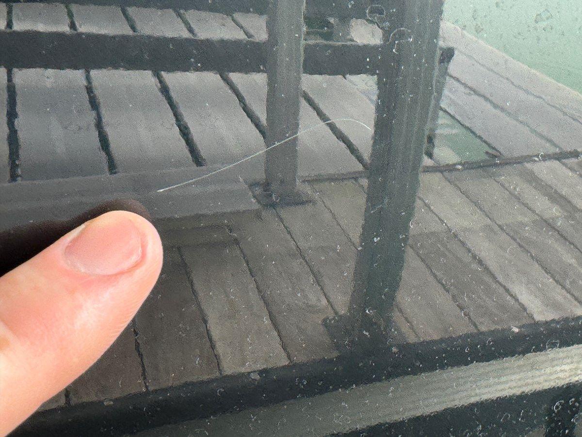 024 Yamaha 252SD NLNL 252 SD yacht sale