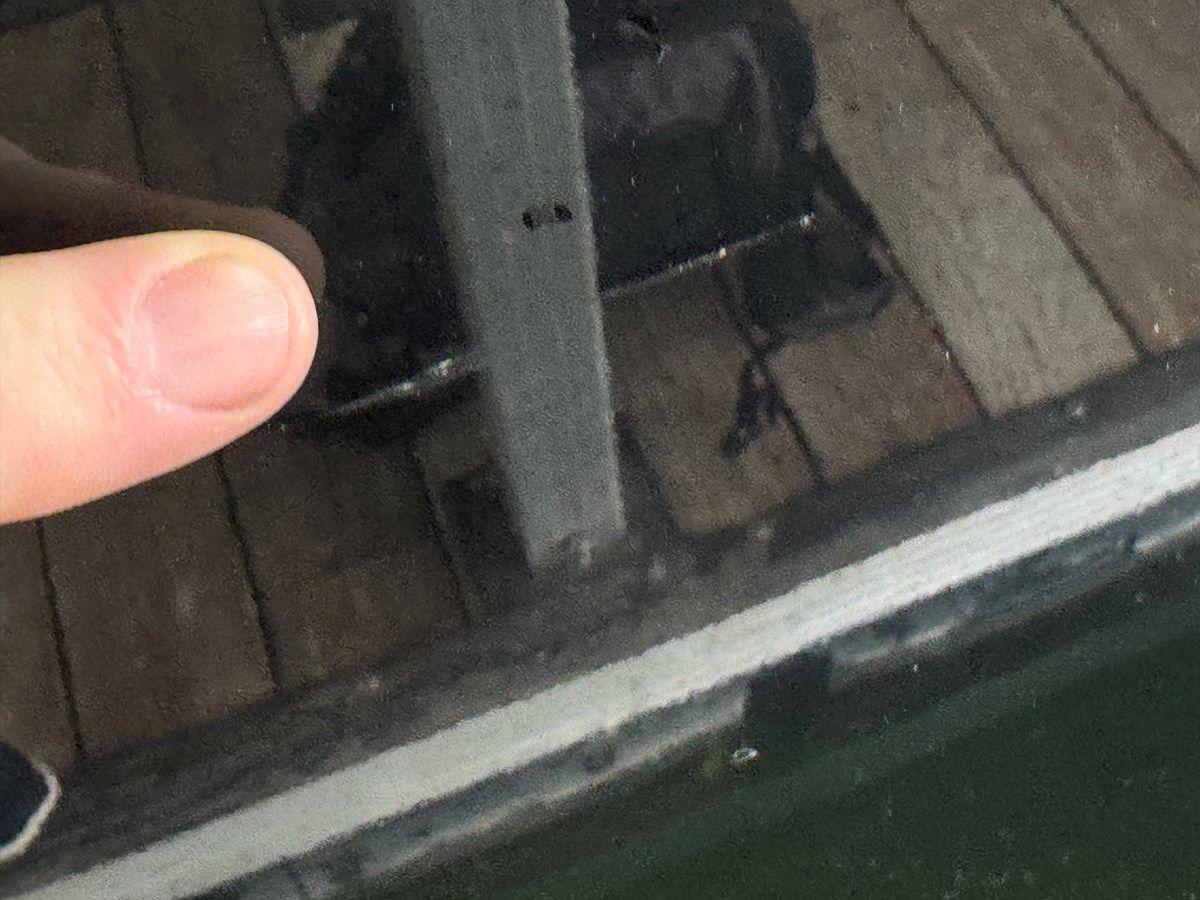 024 Yamaha 252SD NLNL 2024 price