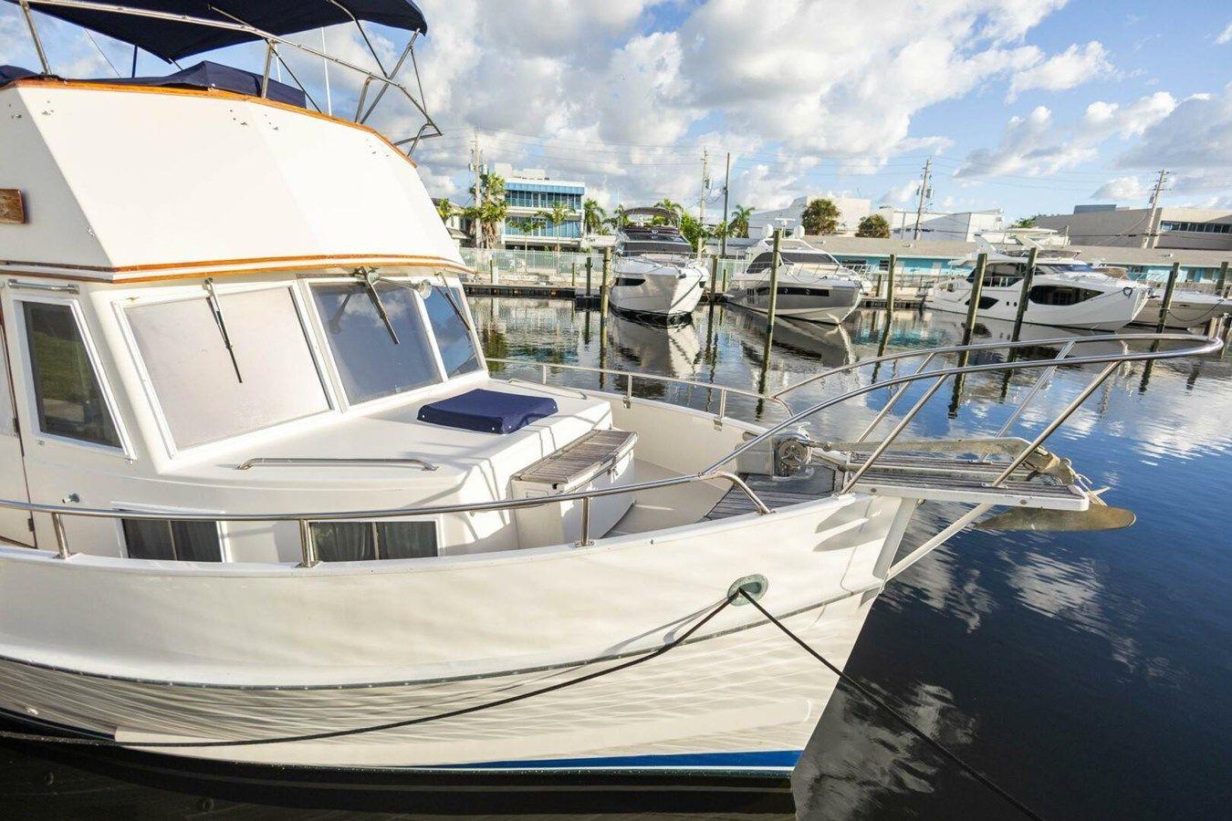 Moonshadow Classic price