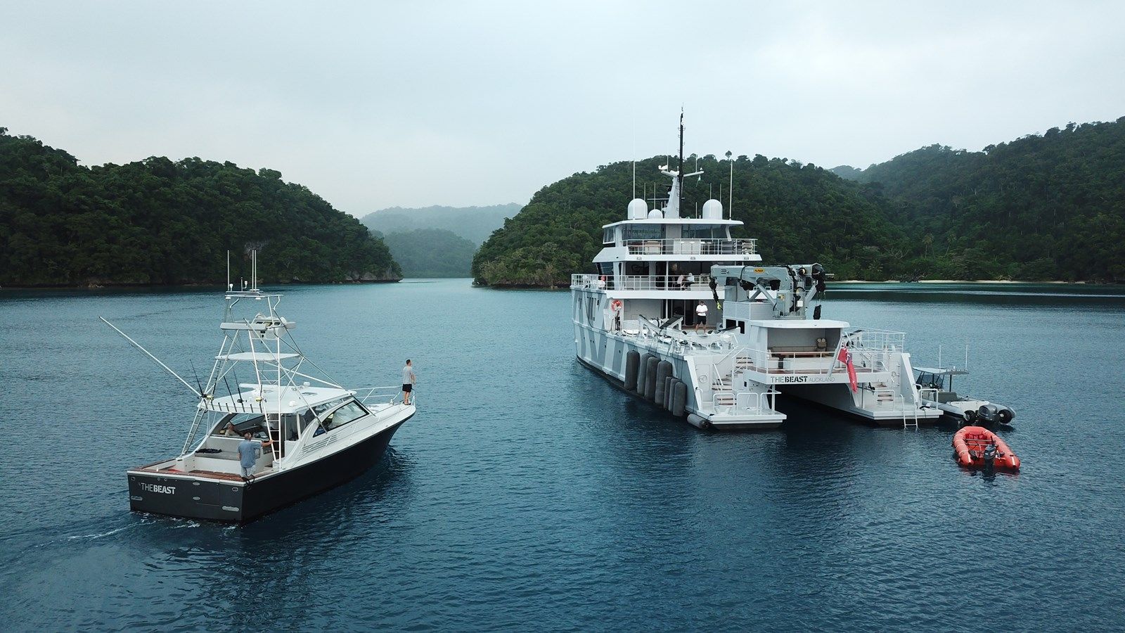 Продажа яхты THE BEAST 2019