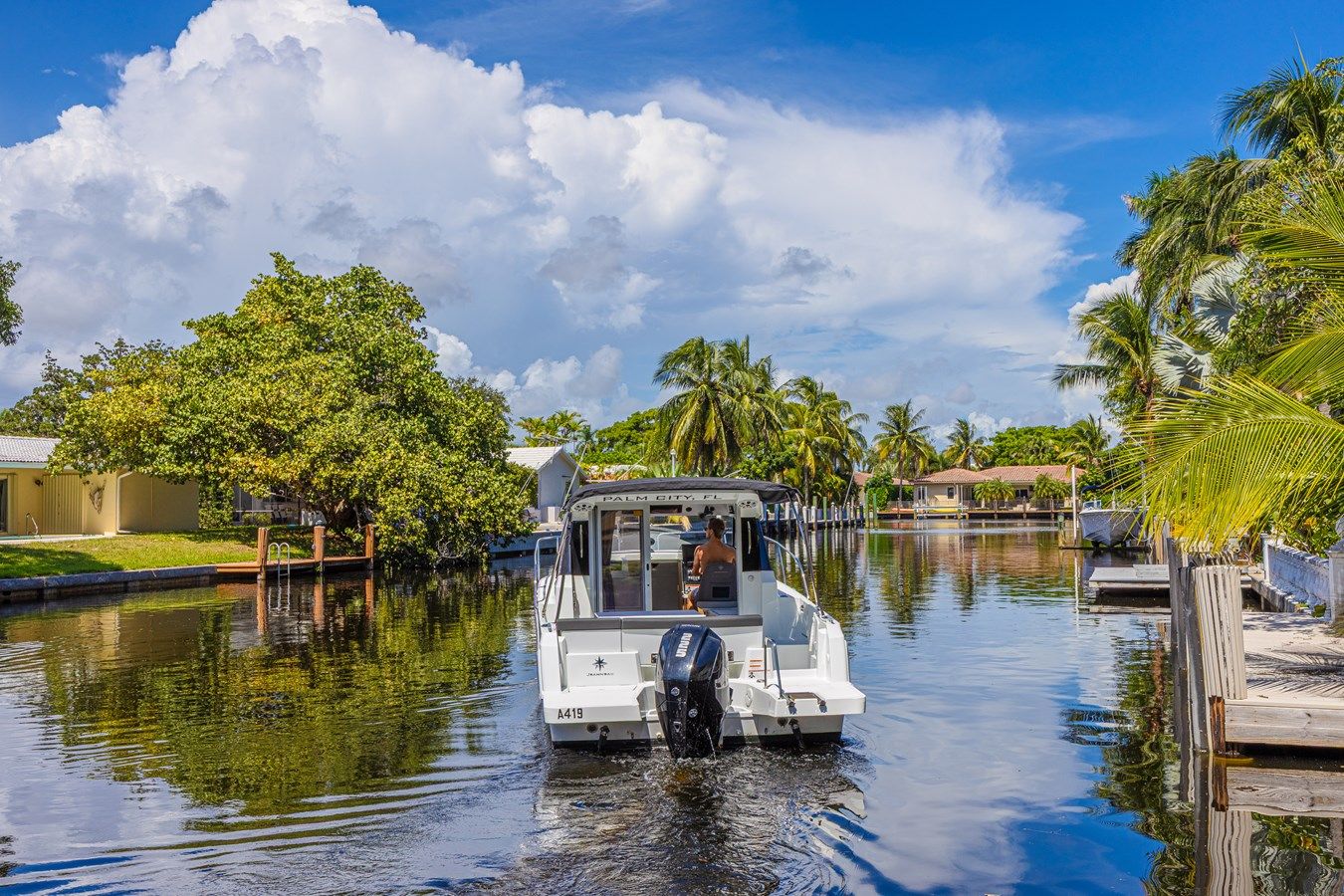 Therapy Session NC 795 Series 2 price