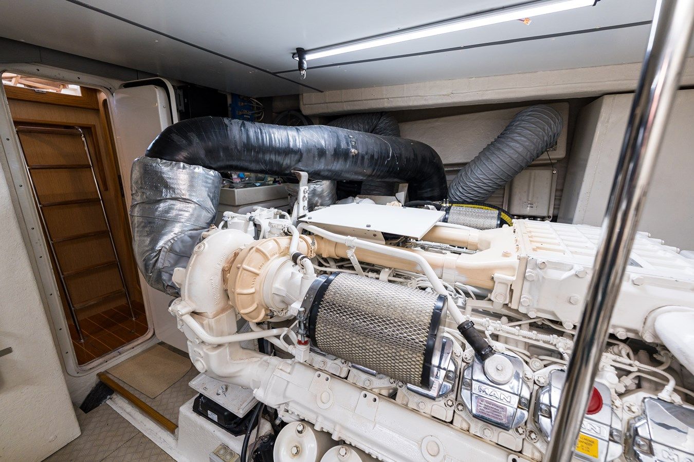 JASMINE 3 MAESTRO 65