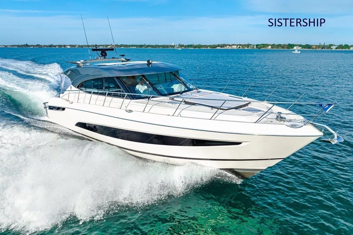 Лучшая цена на WATER DOG